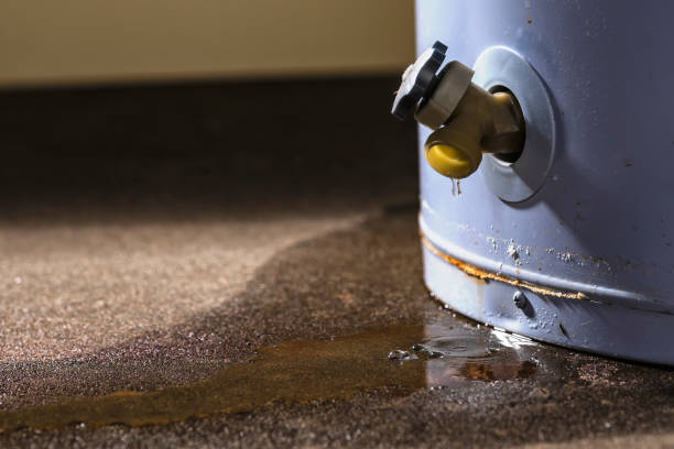 Best Water damage cleanup near me  in Helena Flats, MT