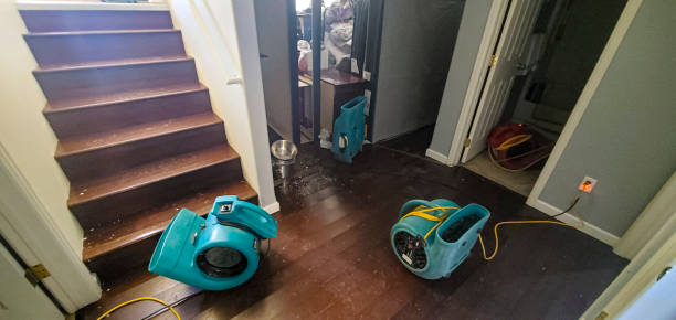 Best Carpet water damage restoration  in Helena Flats, MT