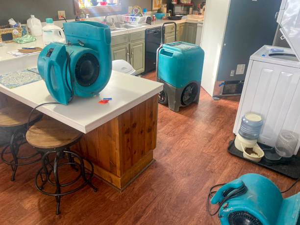 Best Water damage cleanup near me  in Helena Flats, MT