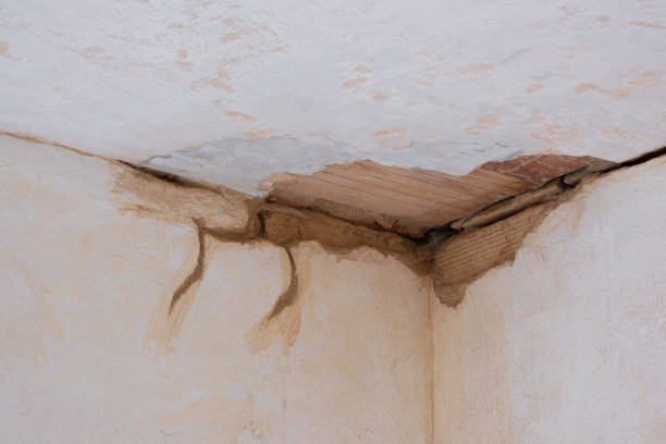 Best Water damage restoration specialists  in Helena Flats, MT