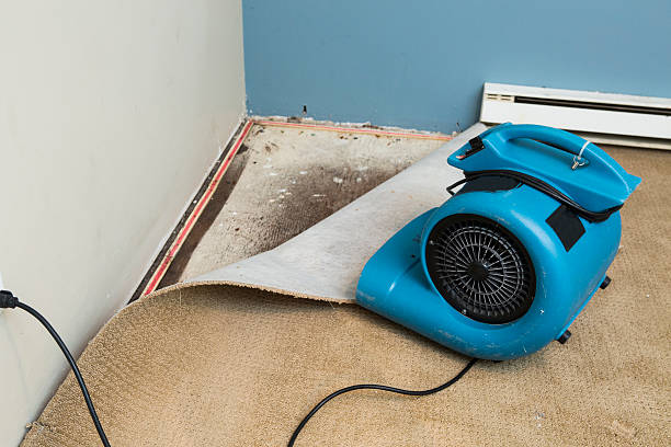 Best Water damage restoration near me  in Helena Flats, MT
